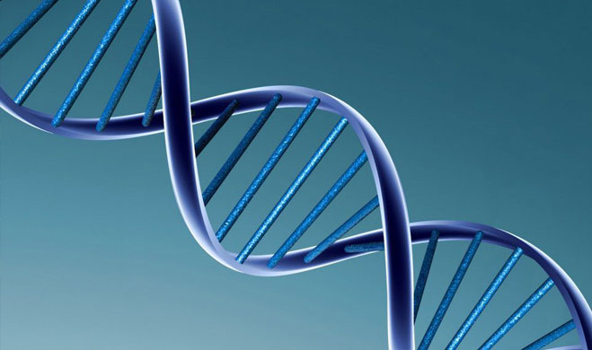 hoa chat sinh hoc phan tu 1